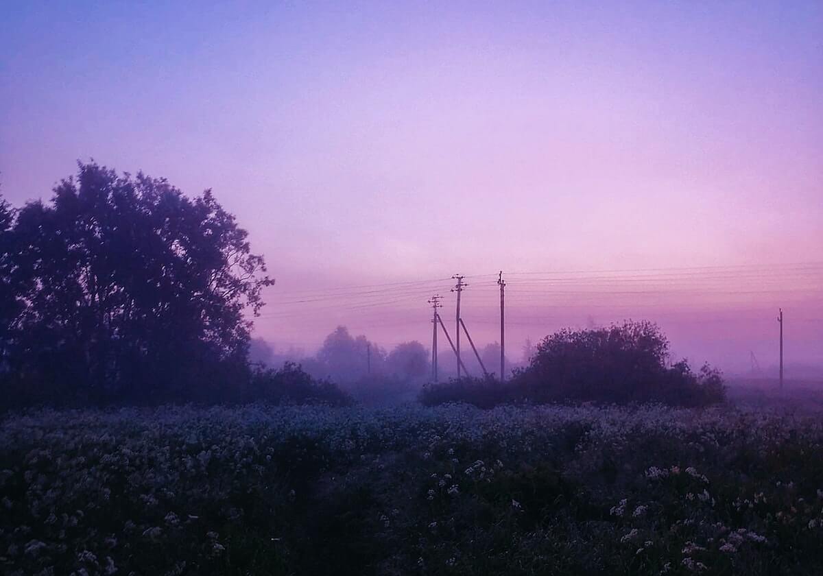 乐鱼官方-文图拉:我不应该执教意大利队 我应该早点辞职